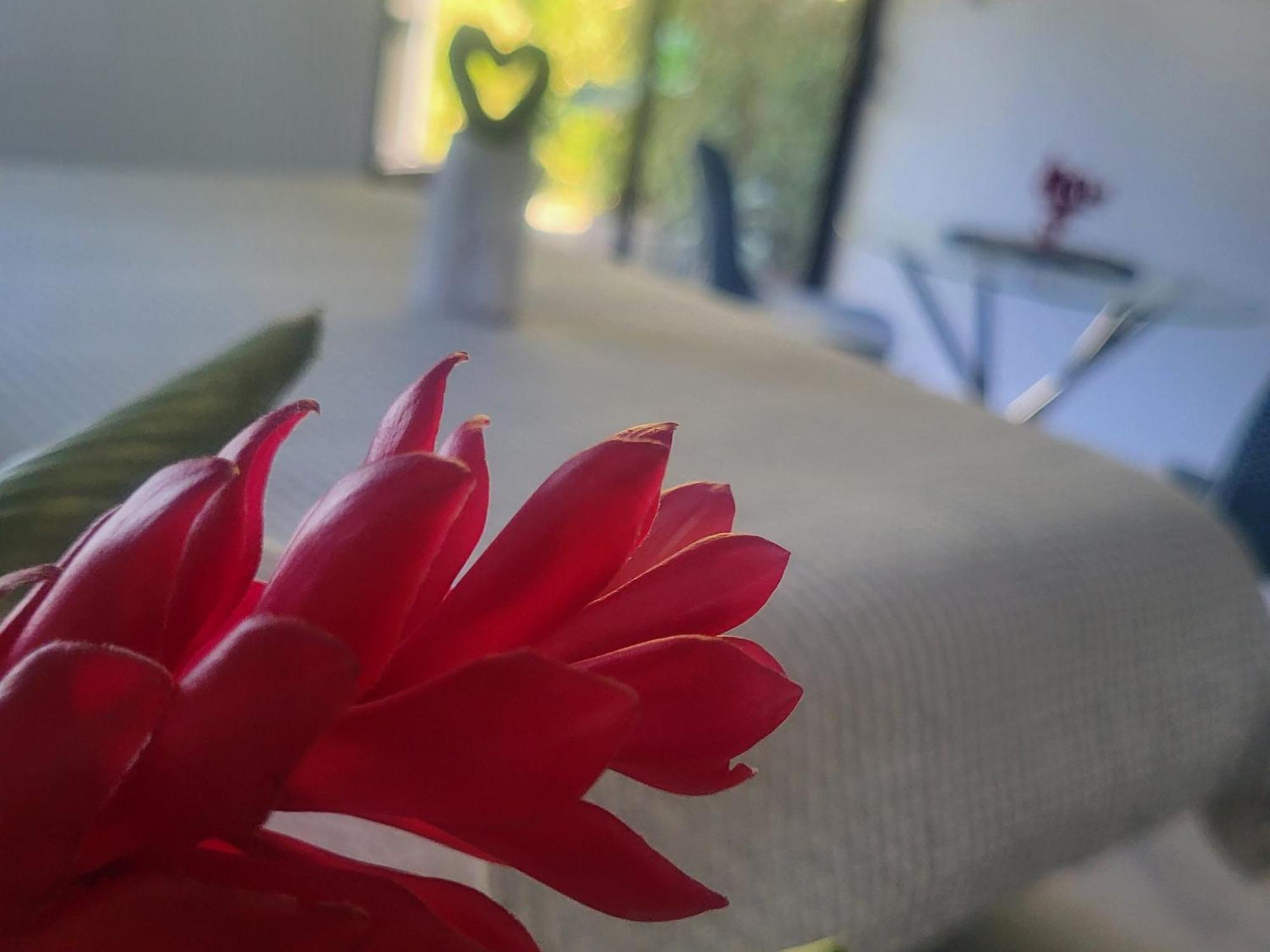 Madre Terra Bed & Breakfast Uvita Dış mekan fotoğraf