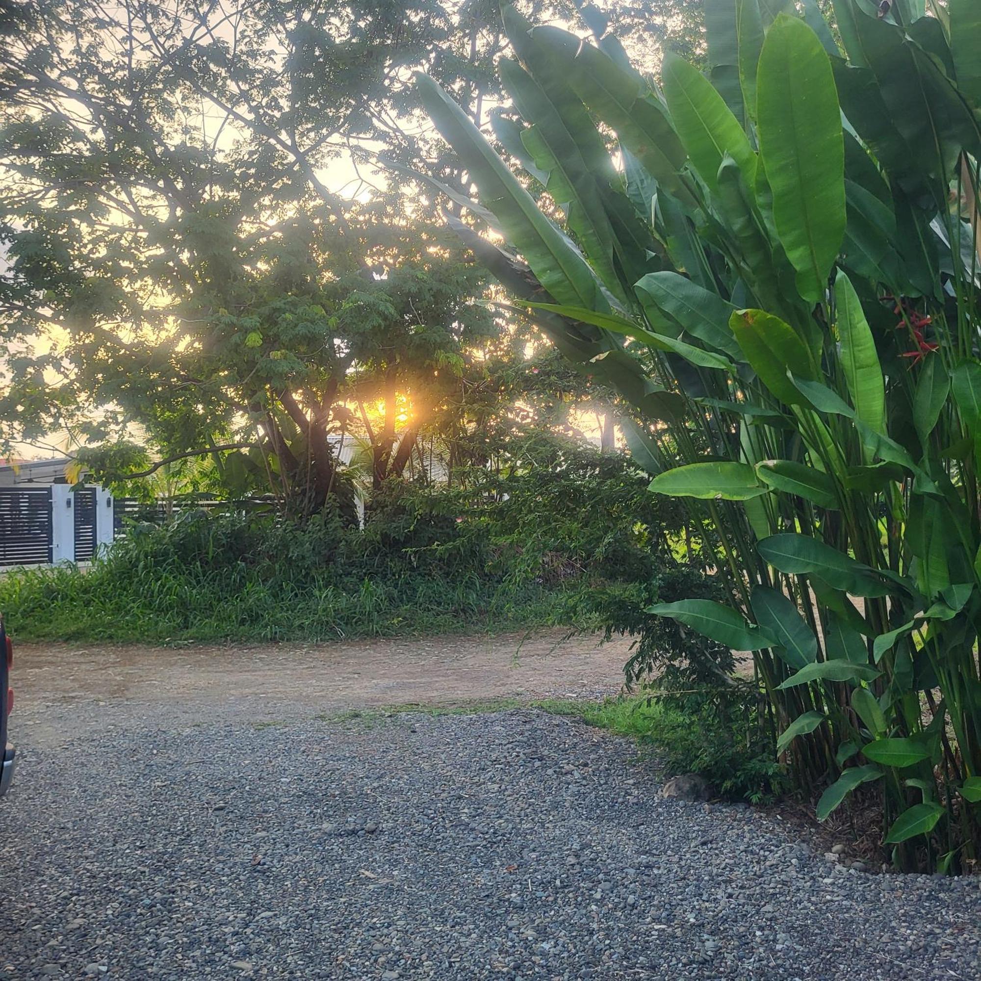 Madre Terra Bed & Breakfast Uvita Dış mekan fotoğraf